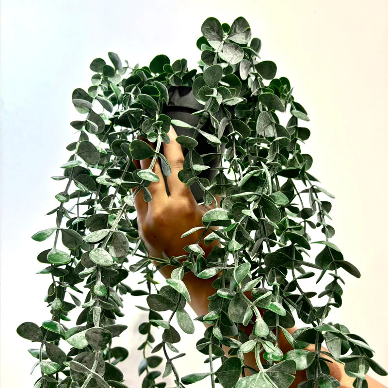 Planta Artificial Colgante Dischidia - Macetas, Uruguay | Alta Gracia Deco, vista 3