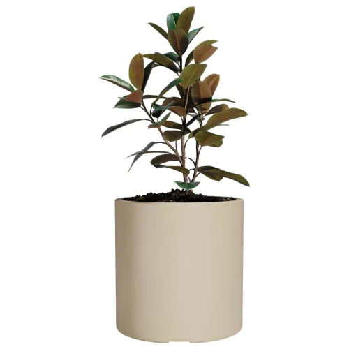 Macetero Cilindro 40 Beige Alto 40cm x 40cm diametro, 50 lts en Beige - Macetas, Uruguay | Champagne Home