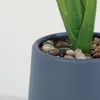Planta Aglaonema 40cm - Color Unico en Multicolor - Muebles para el exterior, Uruguay | Indian, vista 4 de 5