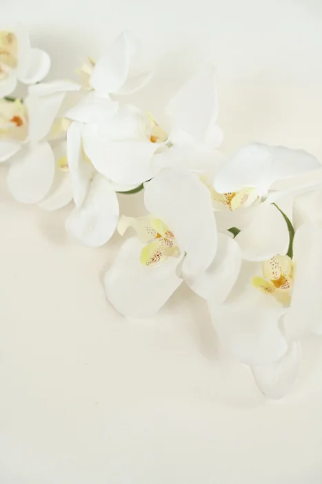Flor Orquídea Phalaenopsis - Color Unico en Multicolor - Muebles para el exterior, Uruguay | Indian, vista 2