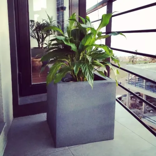 Maceta cuadrada Cubo de 39 cm en Gris - Macetas, Uruguay | Alta Gracia Deco
