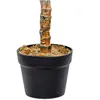 Planta Mandioca 110cm - Color Unico en Multicolor - Muebles para el exterior, Uruguay | Indian, vista 3 de 4