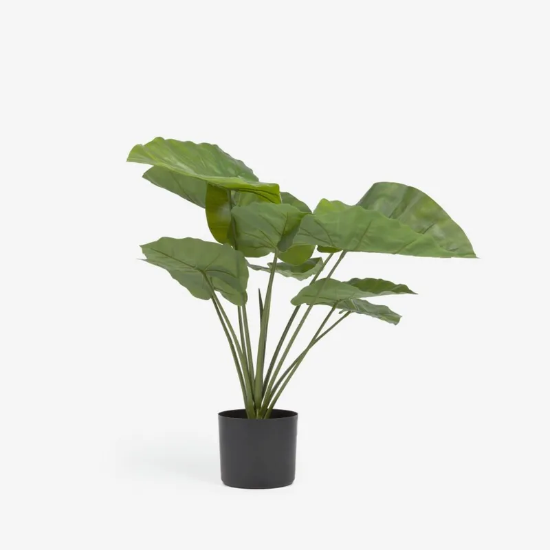 Planta artificial Alocasia Odora con maceta negro 57 cm en Negro - Muebles para el exterior, Uruguay | Kavehome
