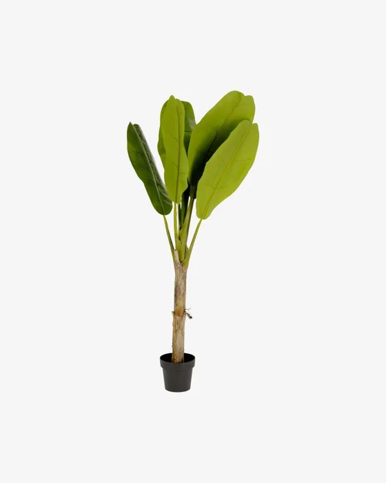 Planta artificial Banano con maceta negro 160 cm en Verde - Macetas, Uruguay | Kavehome