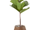 Maceta SIVERT Ø26xA23cm marrón en Marrón - Macetas, Uruguay | JYSK, vista 1 de 4