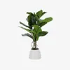 Planta artificial Lyrata con maceta de cerámica blanco 60 cm en Verde - Macetas, Uruguay | Kavehome, vista 1 de 5
