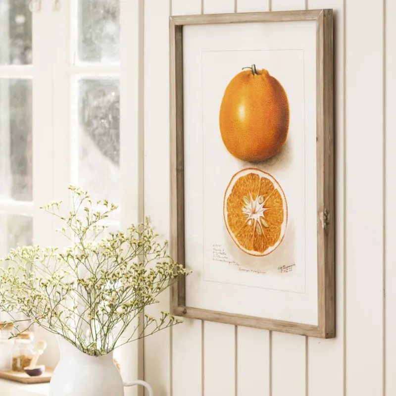 Cuadro Citric - Orange en Madera natural - Decoración de pared, Uruguay | Walnut