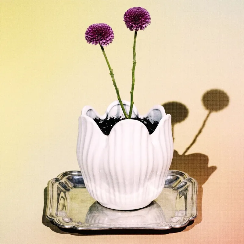 Maceta de cerámica Tulipán - blanco en Blanco - Macetas, Uruguay | Buho Store