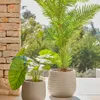 Set Sory de 2 macetas de terracota con acabado gris Ø 28 cm / Ø 36 cm en Madera natural - Macetas, Uruguay | Kavehome, vista 2 de 8