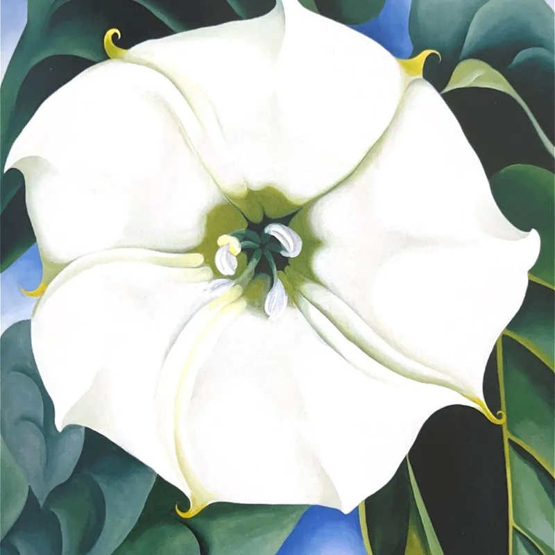 White Flower en Blanco - Láminas, Uruguay | Mara Estudio