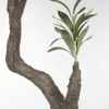 Planta artificial Olivo con maceta negro 140 cm en Negro, Uruguay | Kavehome, vista 5 de 9