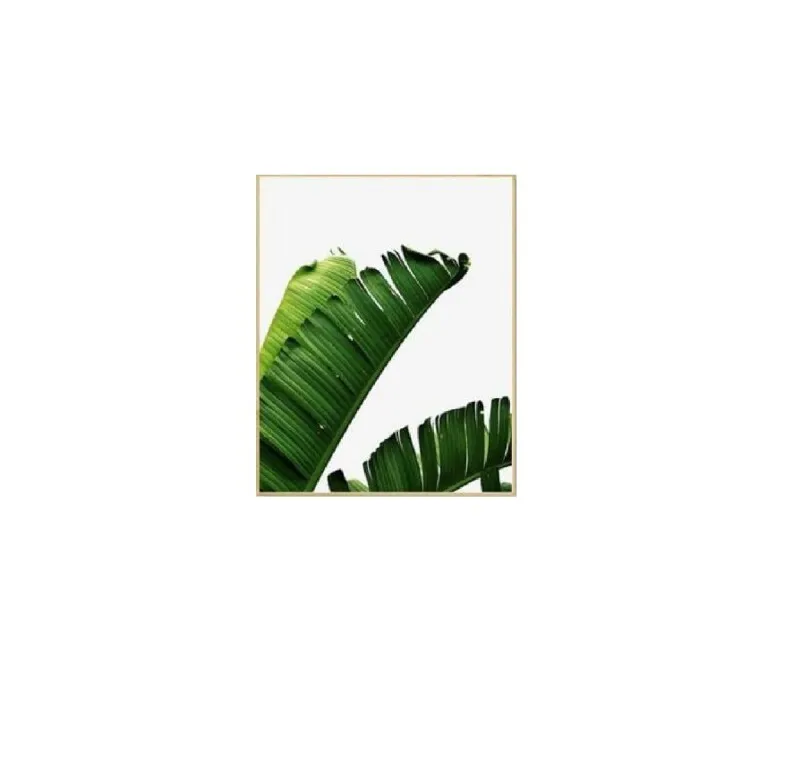 Marco Natural Banana Leaves II en Madera natural - Decoración de pared, Uruguay | Finkel