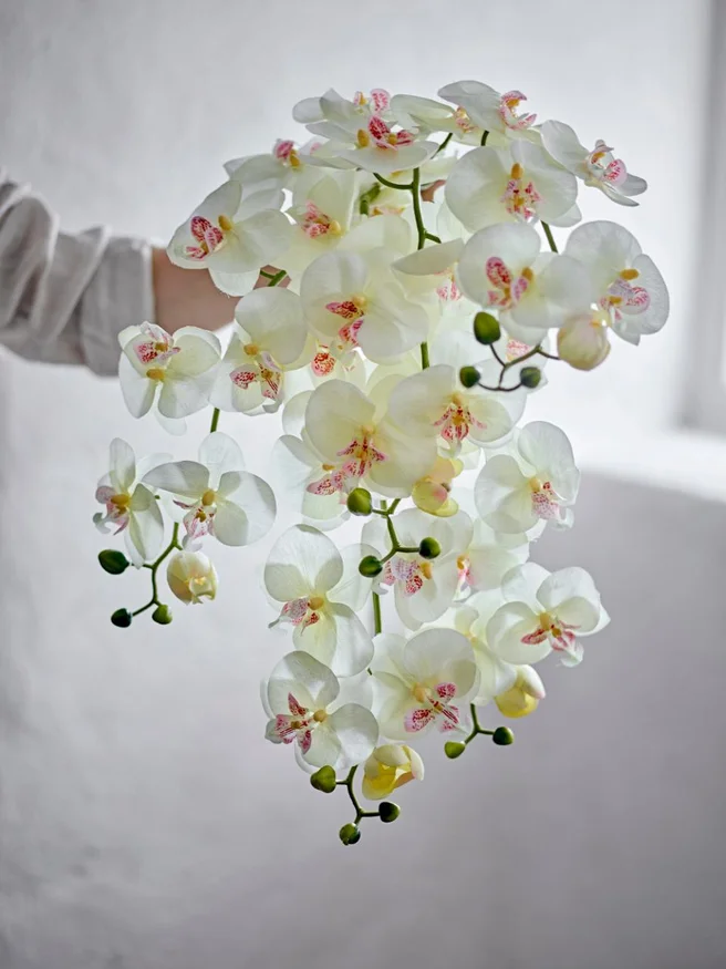 Tallo Orquídea blanco en Blanco - Decoración, Uruguay | Martinika Deco, vista 2