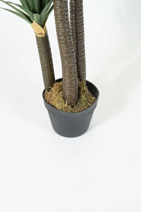 Planta Yucca 150cm - Color Unico en Multicolor - Muebles para el exterior, Uruguay | Indian, vista 3
