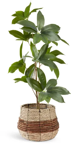 Maceta TERJE Ø25xA23cm natural en Madera natural - Macetas, Uruguay | JYSK