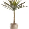 Maceta HARALDUR Ø20xH17 cm gris cálido en Gris - Macetas, Uruguay | JYSK, vista 2 de 2