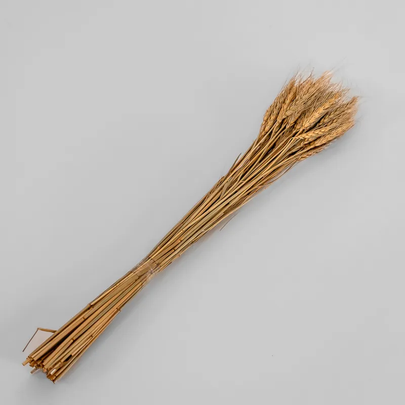Deco Floral Ramo Wheat Grass Natural - Color Unico en Multicolor - Decoración, Uruguay | Indian