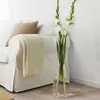 FLORERO VIDRIO D15/H80CM - Jarrones, Uruguay | Decohogar, vista 3 de 4