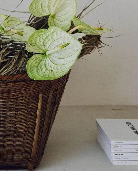 CESTA TRENZADA - Canastos, Uruguay | Zara Home