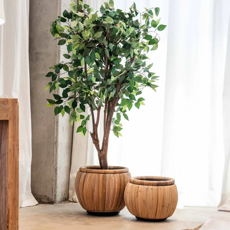 maceta belly, s en Madera natural - Macetas, Uruguay | Soho Deco