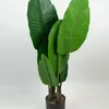 Planta Alocasia - Color Unico en Multicolor - Muebles para el exterior, Uruguay | Indian, vista 1 de 4