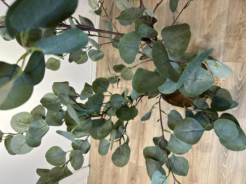 Eucalyptus en Negro - Decoración, Uruguay | Indrana, vista 3