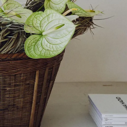 CESTA TRENZADA - Canastos, Uruguay | Zara Home