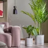 Planta artificial Palmera de bambú con maceta negro 170 cm en Verde - Macetas, Uruguay | Kavehome, vista 2 de 5