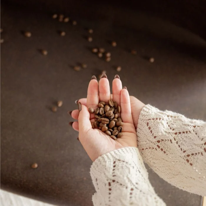 Silla café / producto sostenible en Marrón - Sillas, Uruguay | Fábrica Italiana, vista 2