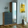 Comoda 4 Cajones 1 Puerta Con Espejo Cajonera Dormitorio Grafito - Cómodas, Uruguay | Muebles Express, vista 3 de 3