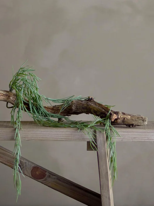Planta de Tilandsia en Verde - Decoración, Uruguay | Martinika Deco, vista 3