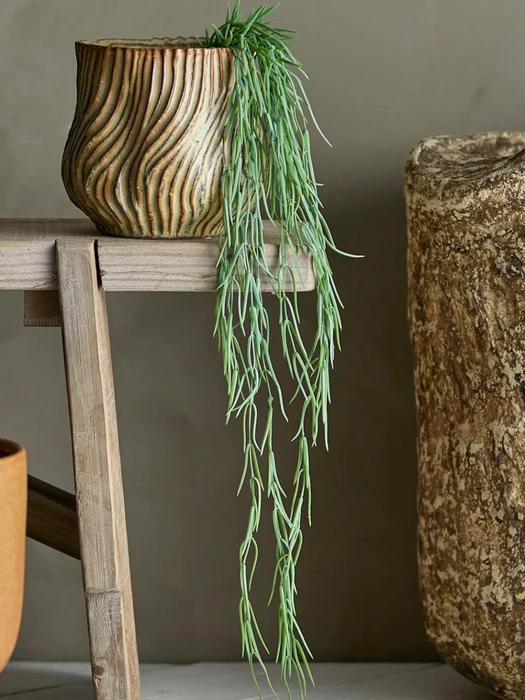 Planta de Tilandsia en Verde - Decoración, Uruguay | Martinika Deco