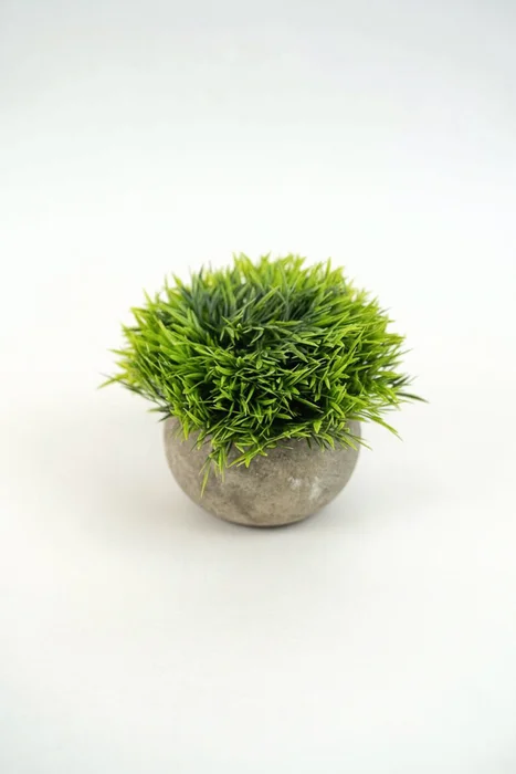 Planta Suculenta Artificial - Color Unico en Multicolor - Decoración, Uruguay | Indian