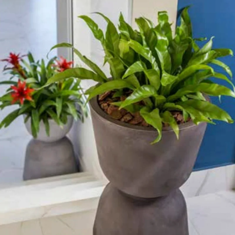 Macetero Symphony reversible - Macetas, Uruguay | Alta Gracia Deco, vista 3