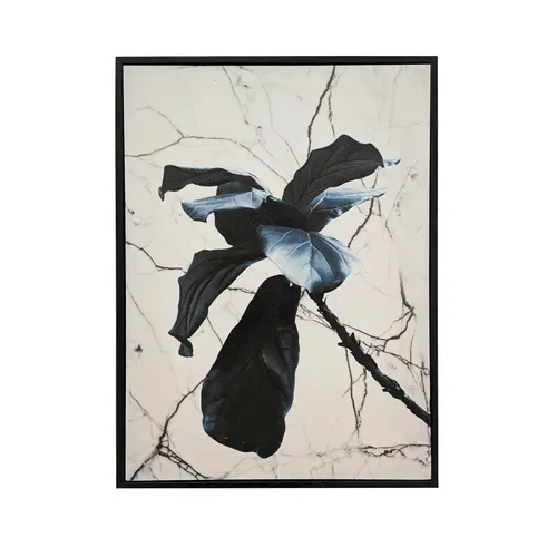 Cuadro Canvas plantas 2 - 30 x 40cm - Decoración, Uruguay | Concetto Casa