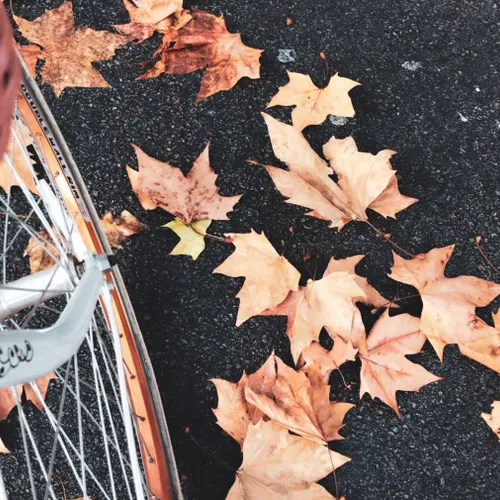 Otoño mood - Láminas, Uruguay | Mara Estudio