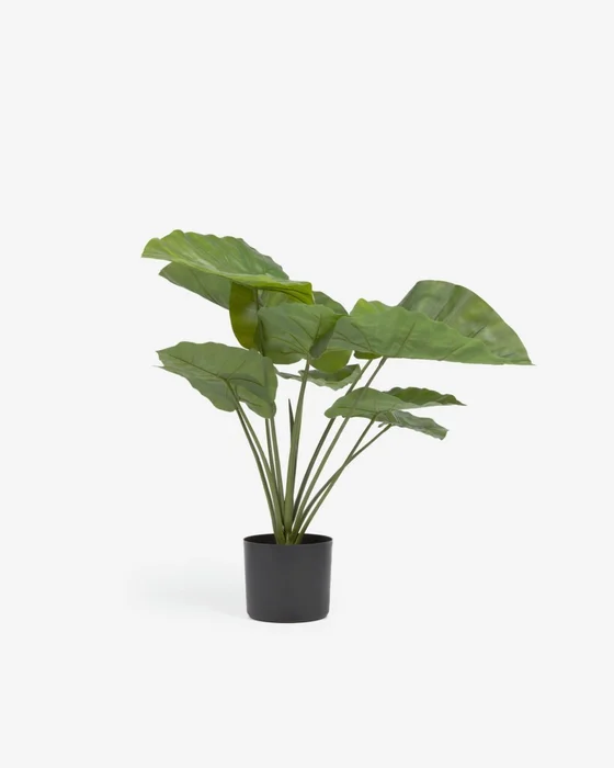 Planta artificial Alocasia Odora con maceta negro 57 cm en Negro - Muebles para el exterior, Uruguay | Kavehome