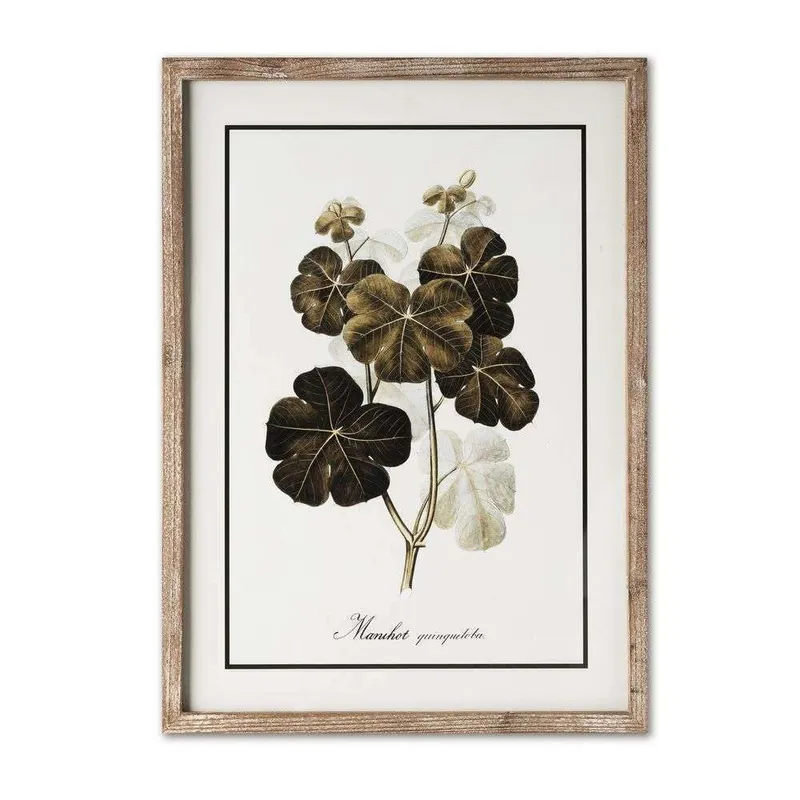 CUADRO BOTANICALS 2 - 54 X 40 CMS - Decoración de pared, Uruguay | La Iberica