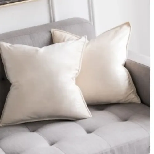 Almohadón Velvet Beige con borde en Beige - Textiles, Uruguay | Finkel