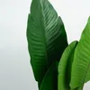 Planta Alocasia - Color Unico en Multicolor - Muebles para el exterior, Uruguay | Indian, vista 2 de 4