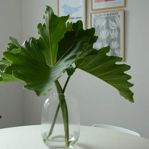 Florero Bold - Jarrones, Uruguay | Dos Orillas Casa