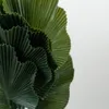 Planta Alocasia Gageana - Color Unico en Multicolor - Muebles para el exterior, Uruguay | Indian, vista 2 de 4