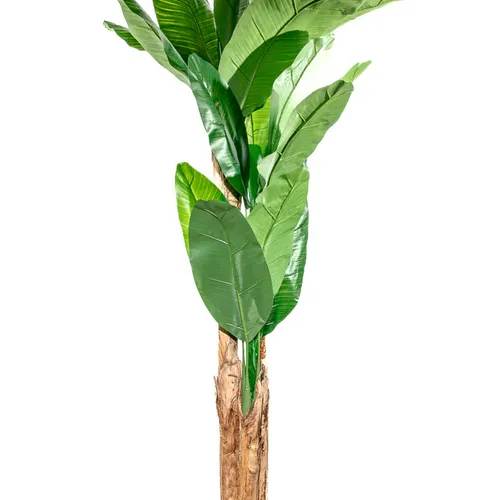 Planta Arum 100cm - Color Unico en Multicolor - Muebles para el exterior, Uruguay | Indian