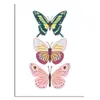 CUADRO CANVAS 30x40cm MARIPOSAS 2 - Decoración de pared, Uruguay | Decohogar, vista 1 de 2