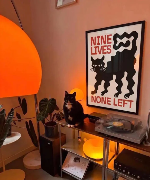 Nine Lives en Multicolor - Láminas, Uruguay | Mara Estudio