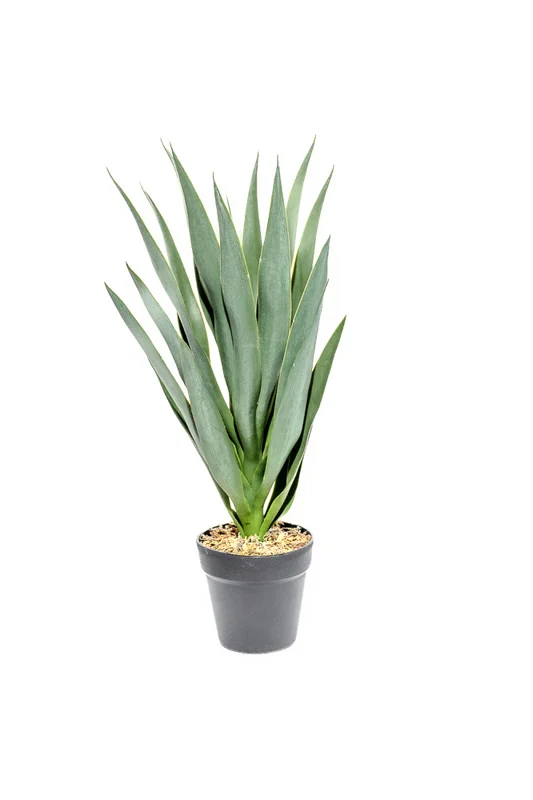 Planta Mandioca 55cm - Color Unico en Multicolor - Muebles para el exterior, Uruguay | Indian, vista 4