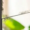 ESPEJO AÑEJADO DE HIERRO NEGRO - 1.70 X 0.80 MTS en Negro - Espejos, Uruguay | La Iberica, vista 3 de 6