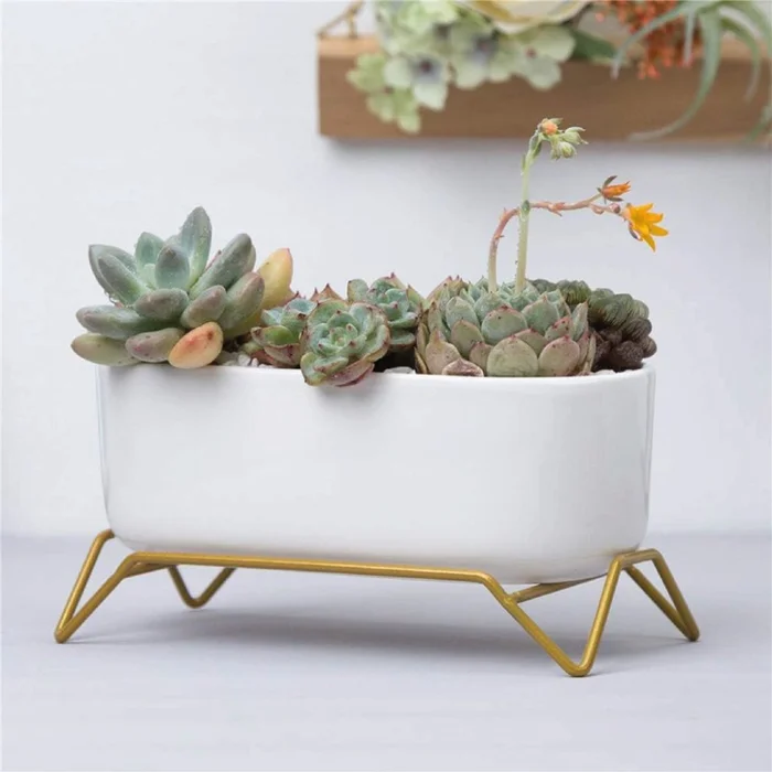 MACETA CERAMICA C/BASE 17x9x9CM BLANCO/DORADO en Blanco - Macetas, Uruguay | Koz, vista 2