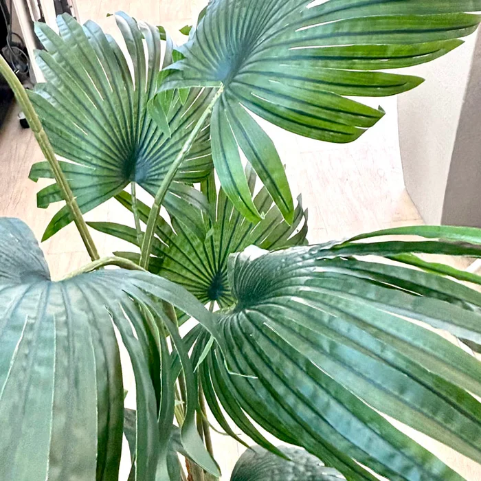 Planta Artificial Palma 160cm en Negro - Macetas, Uruguay | Alta Gracia Deco, vista 3