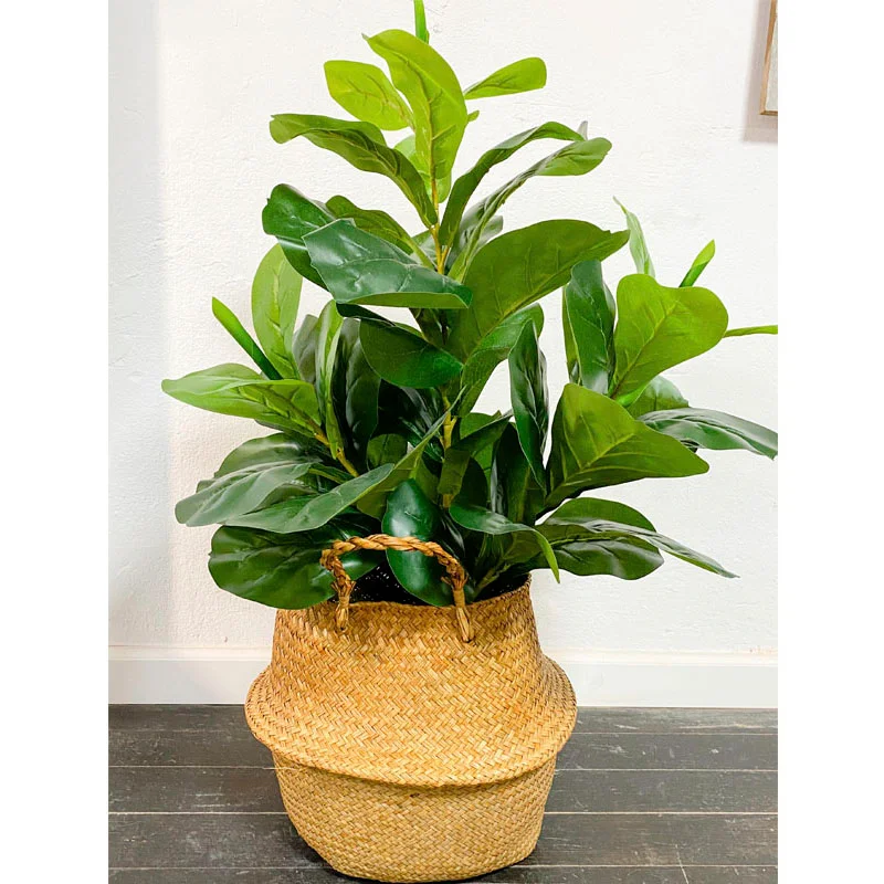Planta artificial Ficus Lyrata 90cm en Marrón - Macetas, Uruguay | Alta Gracia Deco, vista 4